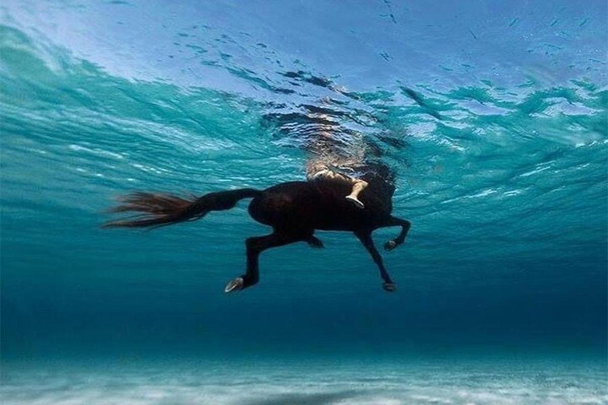 una persona che nuota nell'acqua dell'oceano