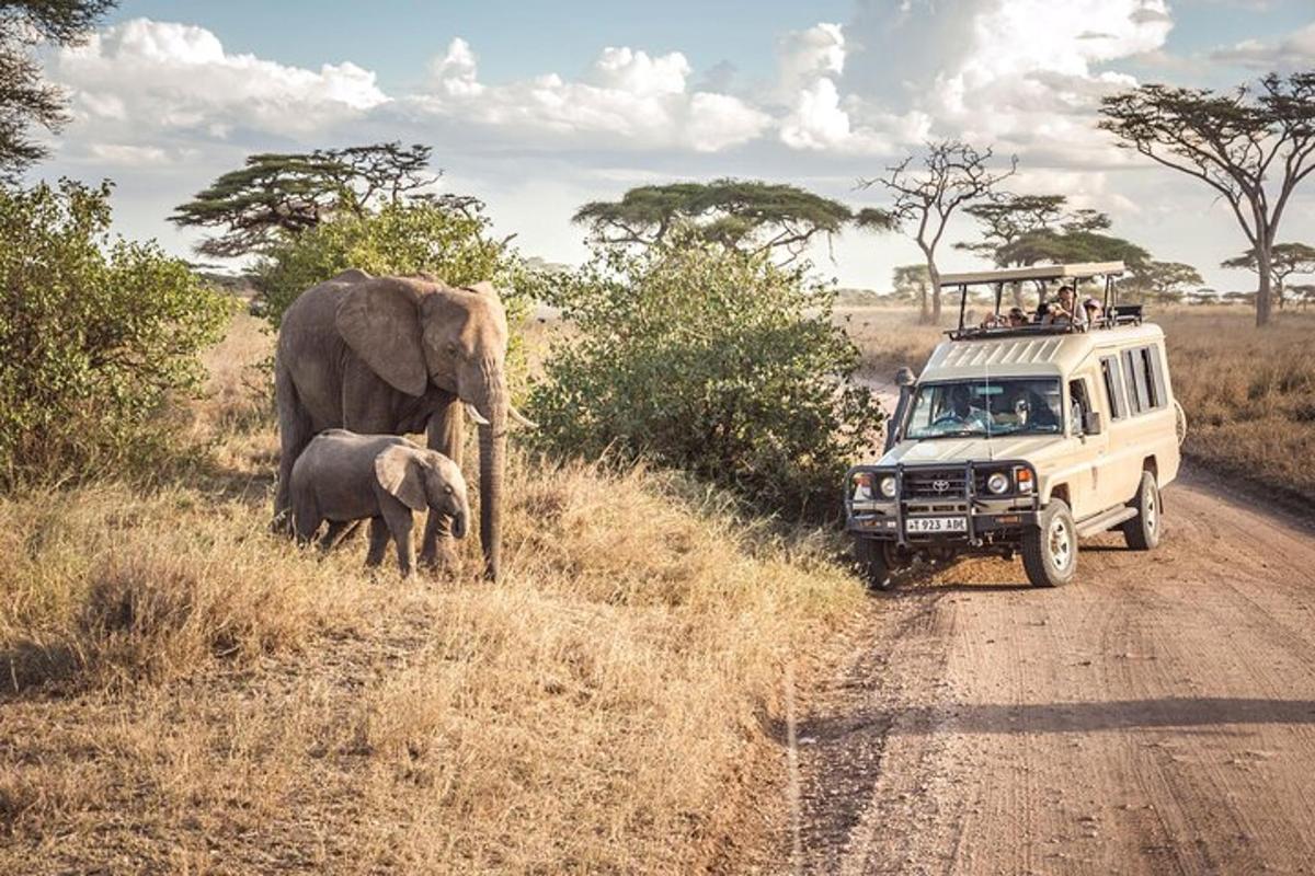 un veicolo che percorre una strada sterrata con un elefante e un cucciolo di elefante