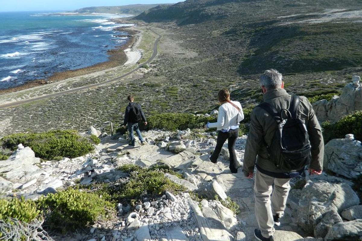 Μια ομάδα ανθρώπων που περπατούν σε βράχους κοντά στον ωκεανό