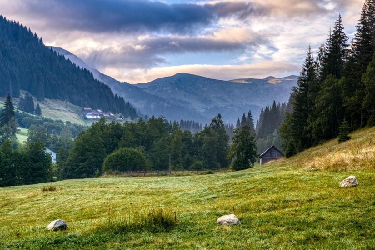 зелено поље са неколико камења у трави