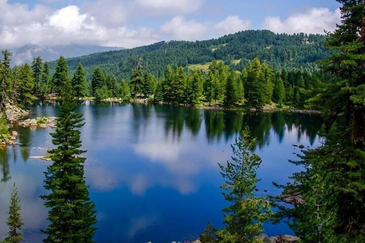 järv keset metsa, kus on puid