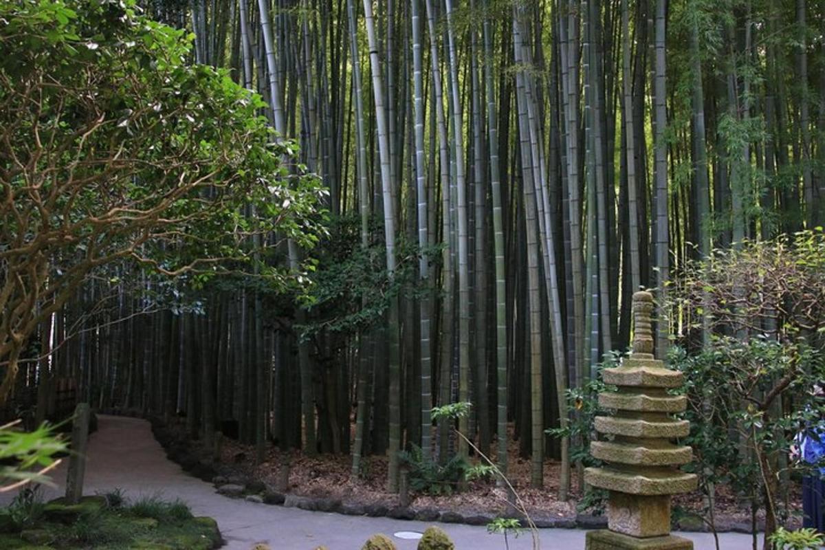 a stone pillar in front of a bamboo forest