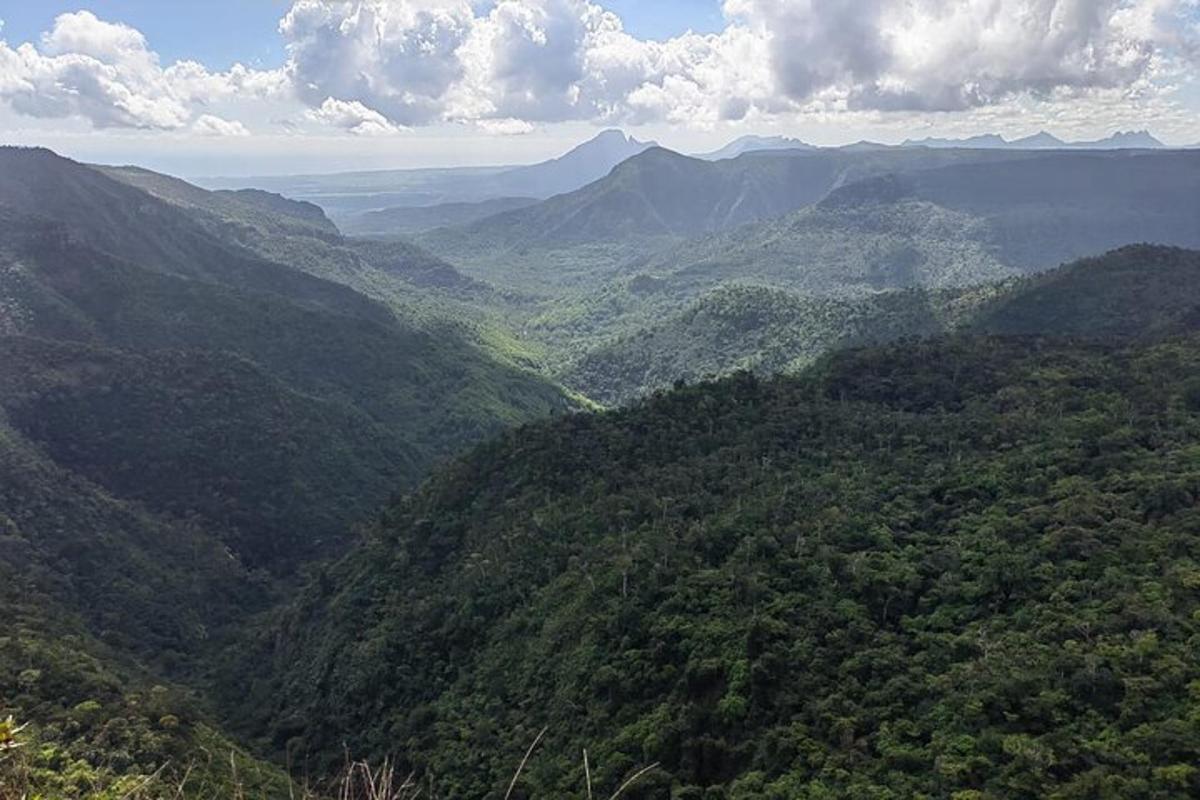 an aerial view of a mountain valley with trees
