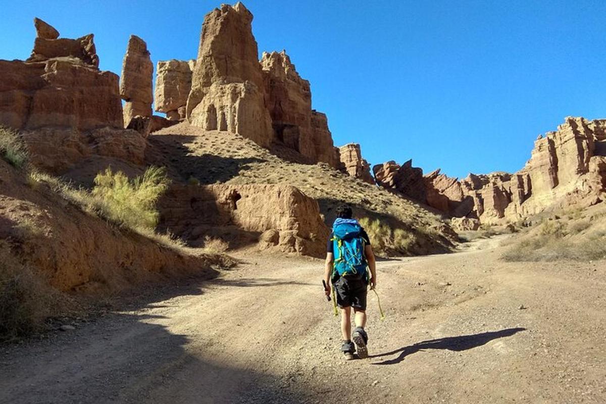 un uomo che cammina lungo una strada sterrata nel deserto