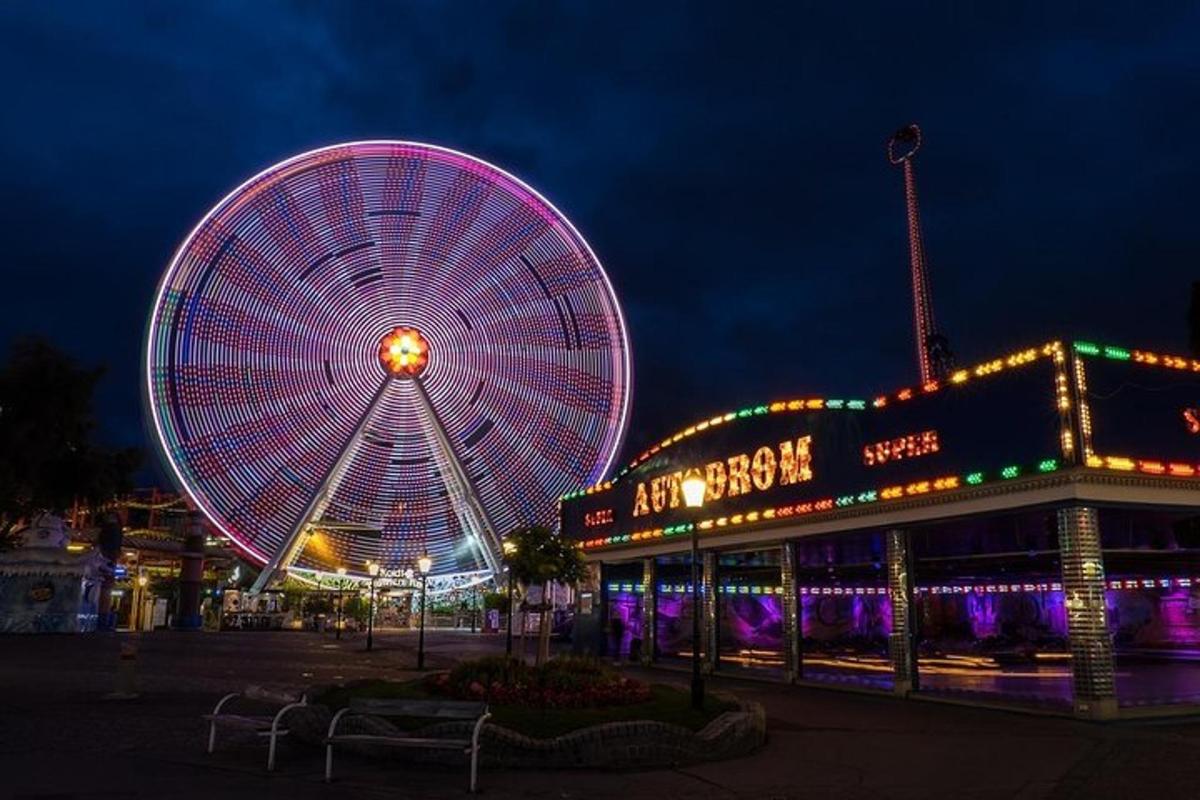 una roda de fira en un parc a la nit