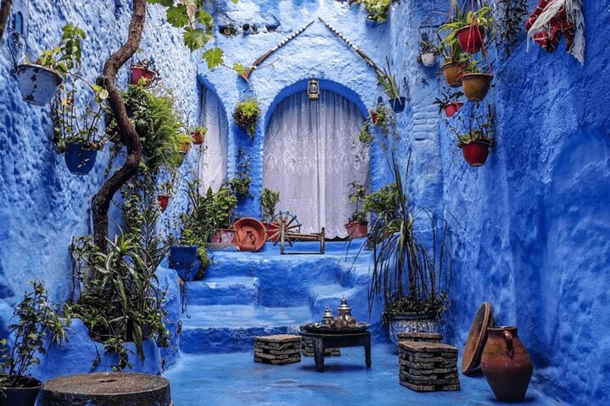 una stanza blu con piante in vaso e una finestra