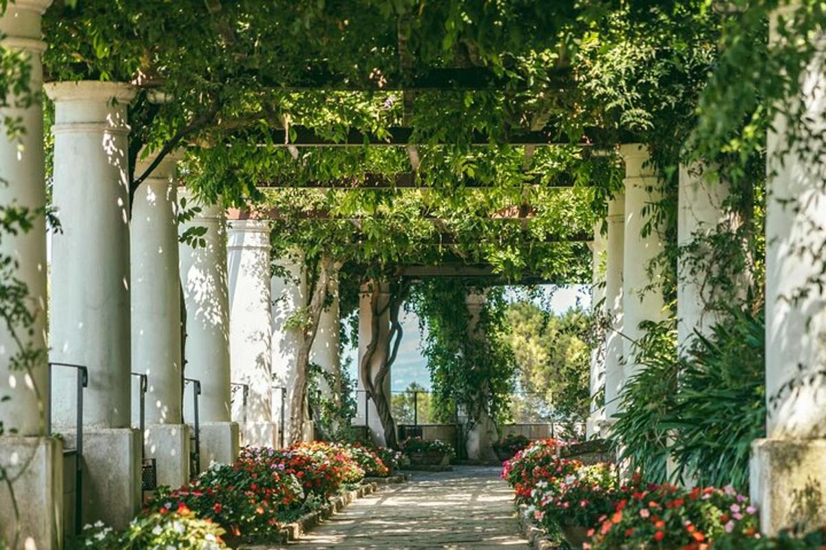 isang archway na may mga bulaklak at halaman sa isang bangketa