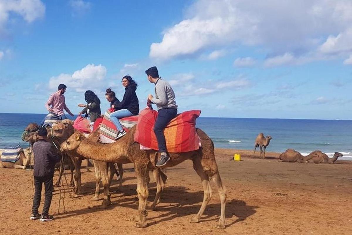 skupina ljudi, ki jahajo kamele na plaži
