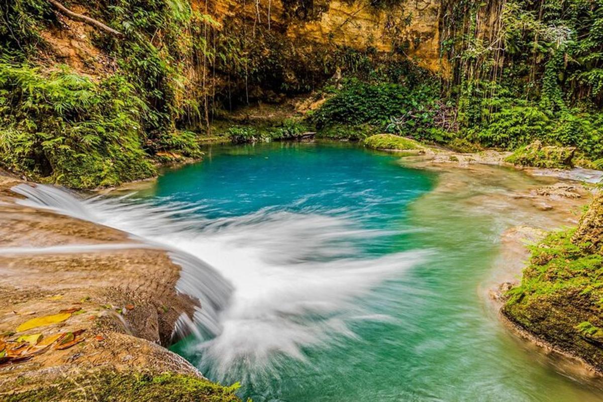 ein Fluss mit Stromschnellen in einem Wald