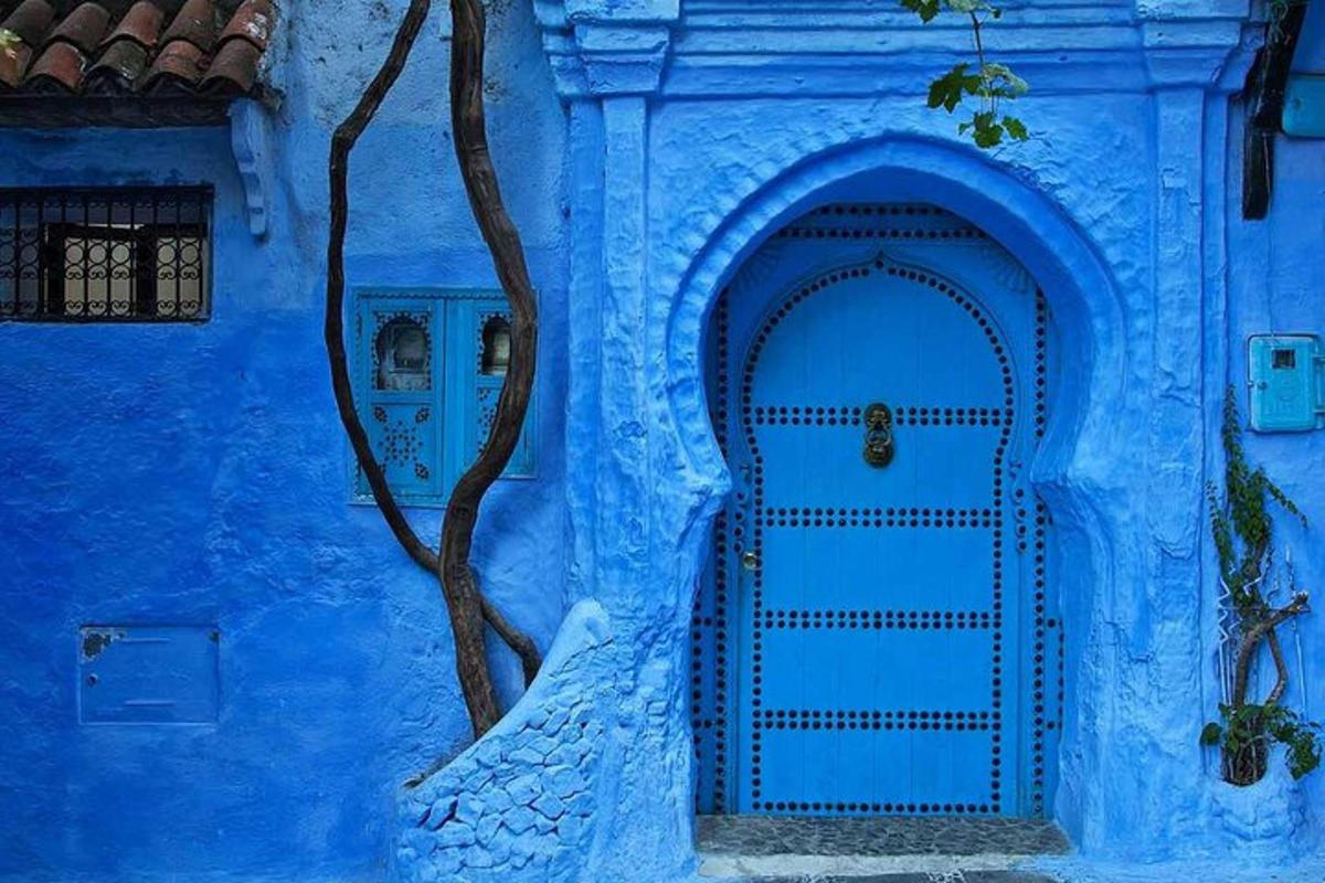un edificio blu con una porta blu e un albero