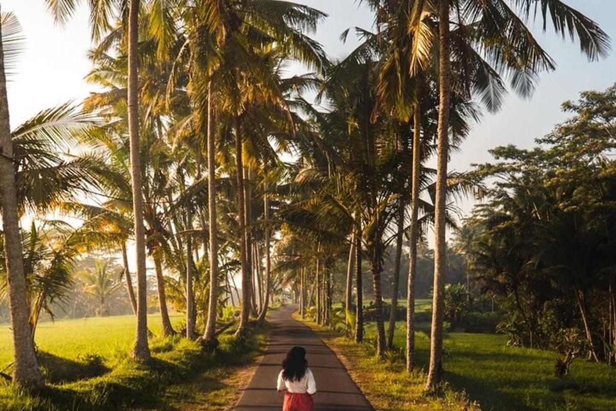 a woman walking down a path lined with palm trees