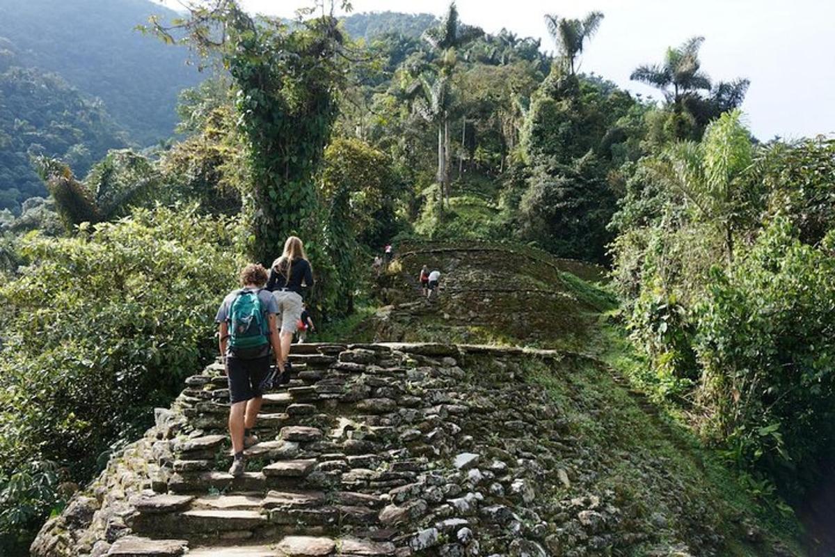 Foto 3 de l'atracció turística