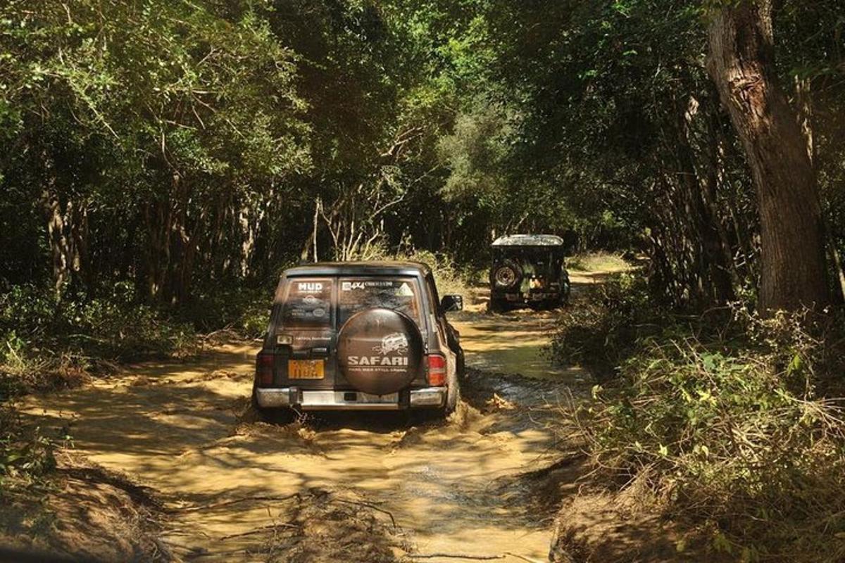 ein Auto, das auf einem Feldweg in einem Wald geparkt ist