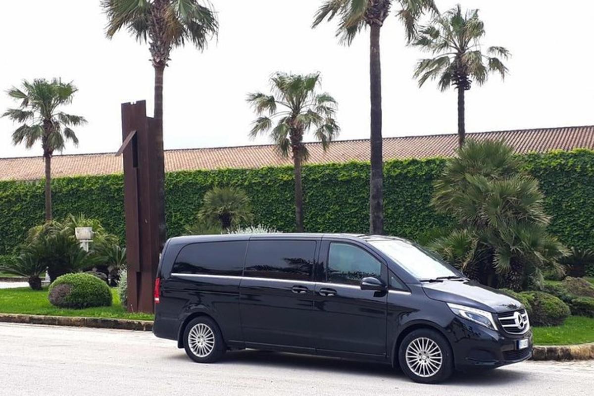 un furgone nero parcheggiato in un parcheggio con palme
