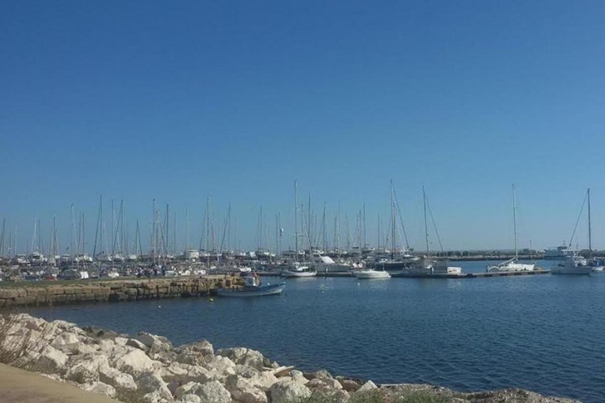 Un montón de barcos están atracados en un puerto