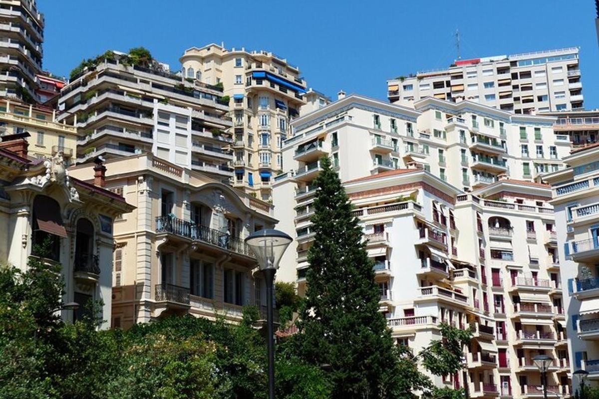 a tall white building with a tree in front of it