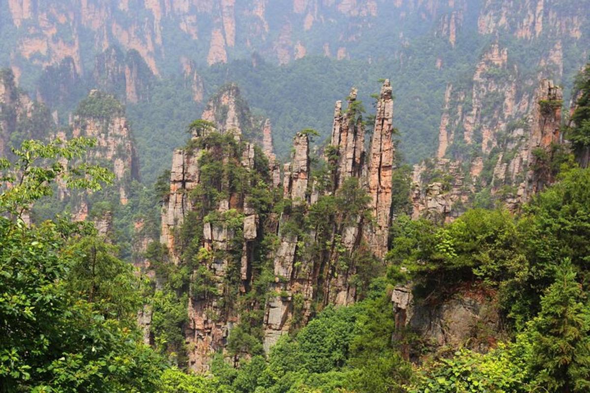 a view of a mountain with trees and rocks