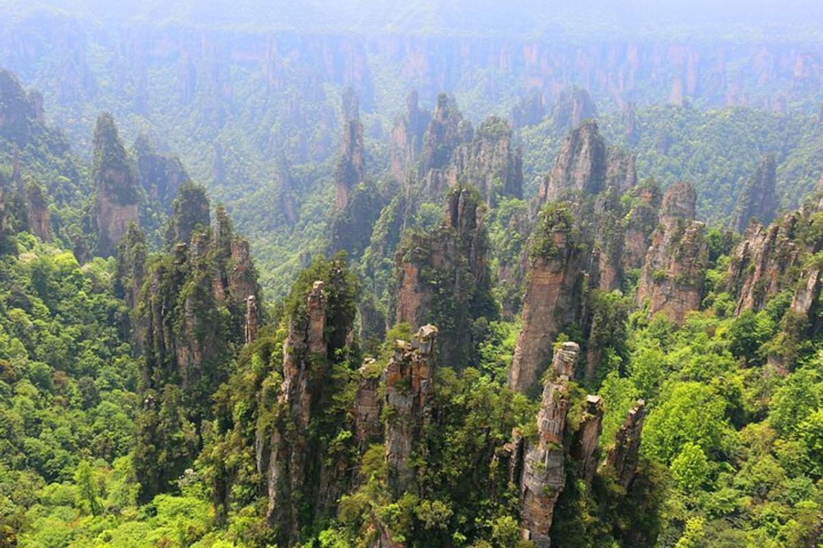 a view of a mountain with trees and rocks
