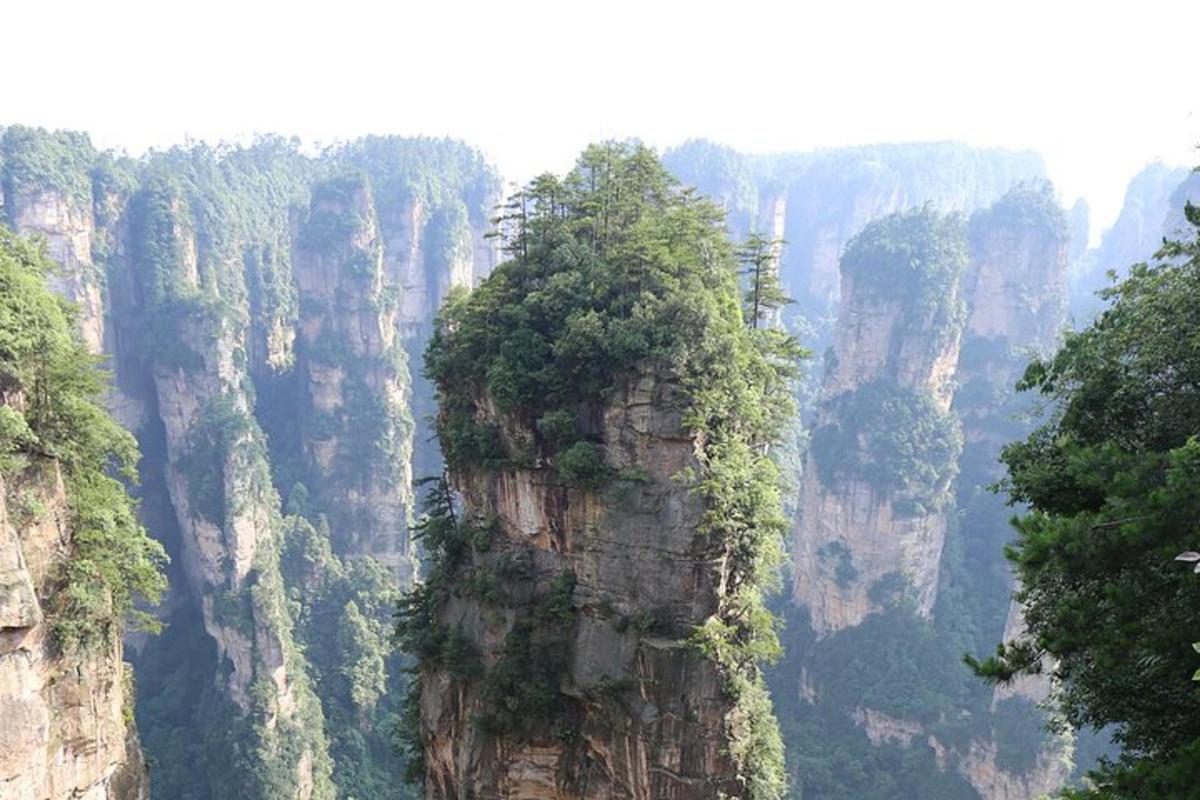 a mountain with trees on top of it