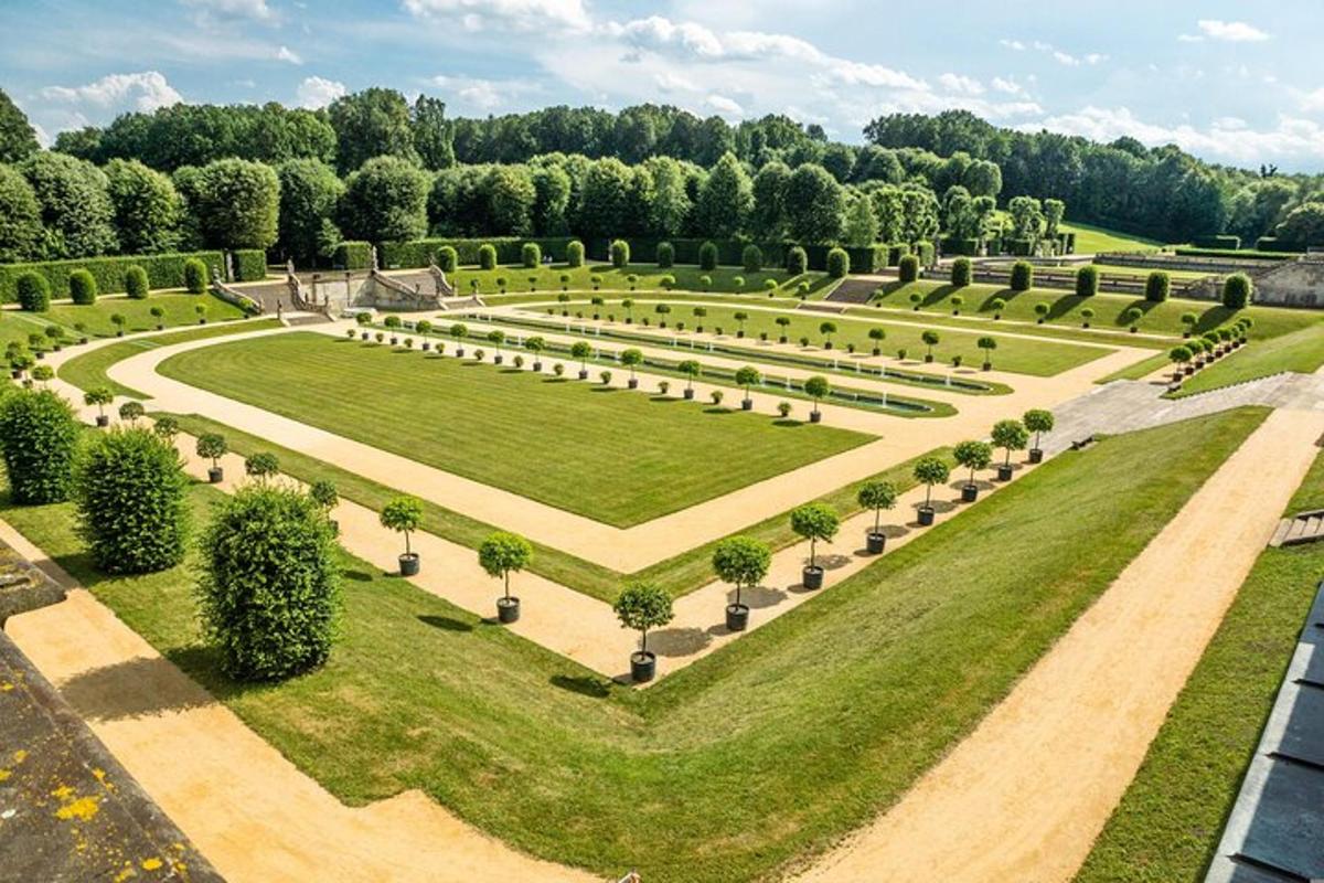 una vista aerea di un giardino con alberi e cespugli