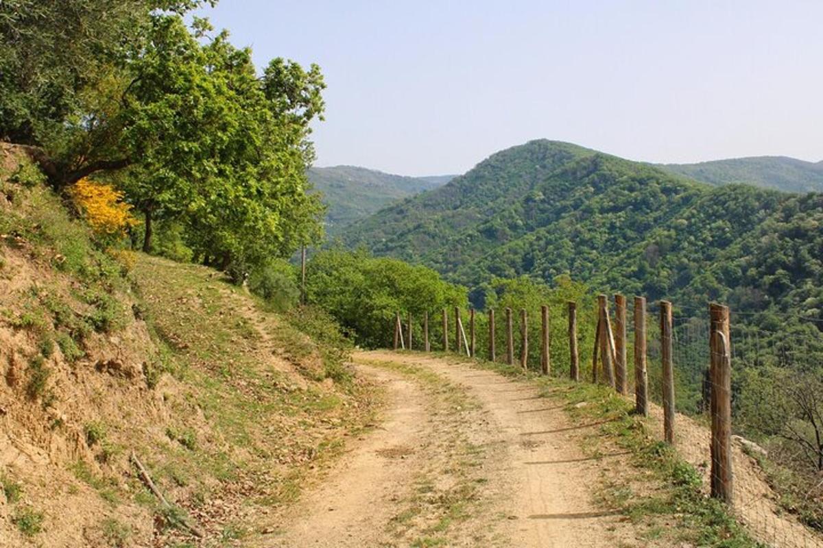 uma estrada de terra em uma colina com uma cerca
