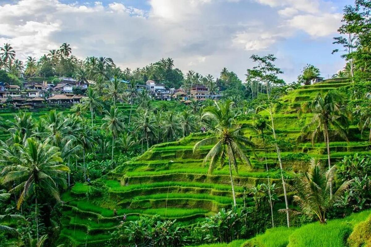 sebuah kampung di atas bukit yang menghijau dengan pokok palma