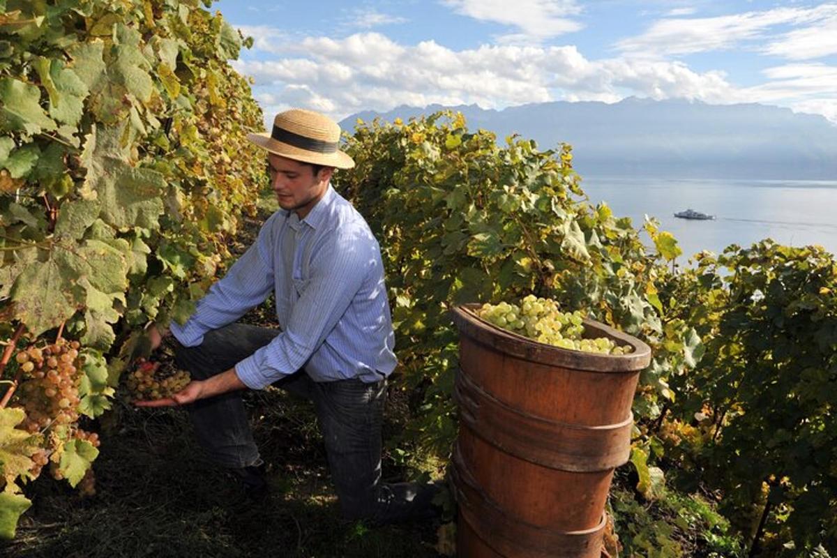 un uomo con un cappello in piedi in un vigneto