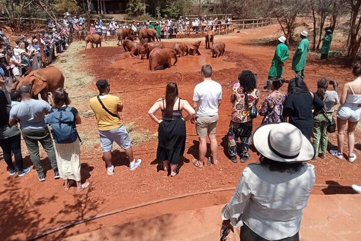 um grupo de pessoas em pé ao redor de uma manada de elefantes