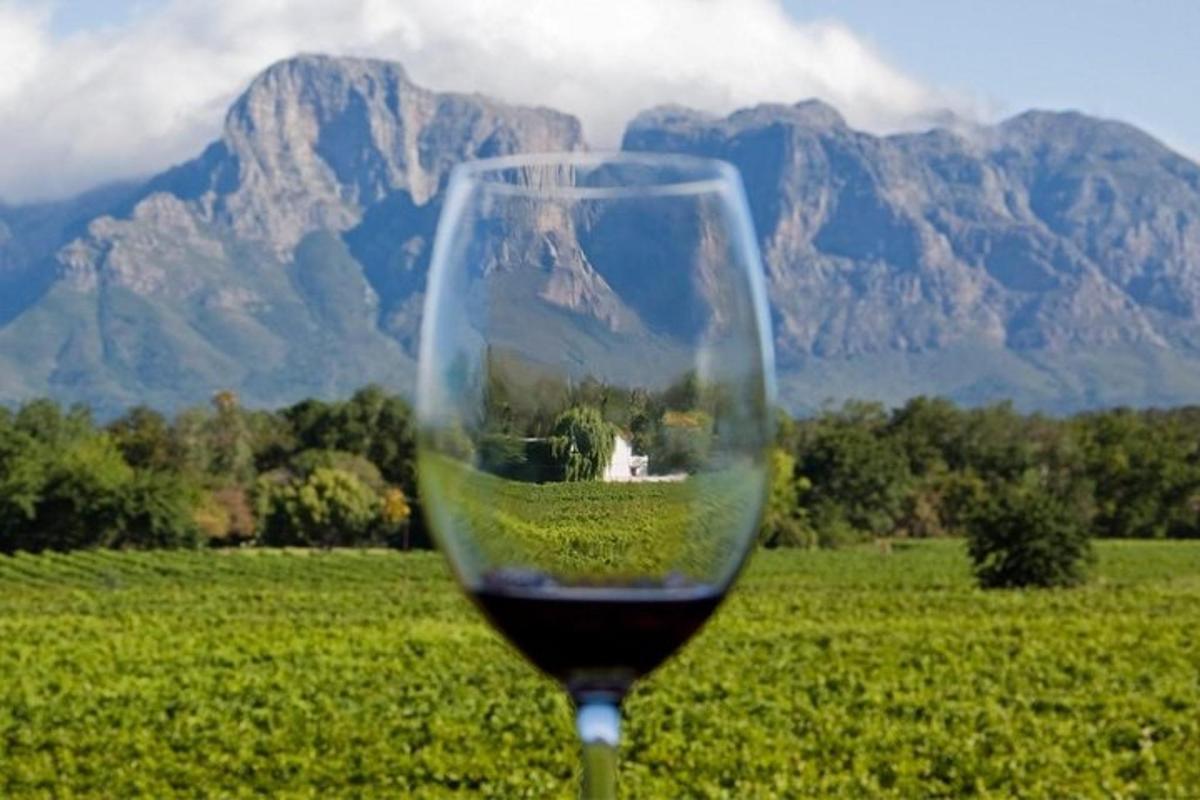 un bicchiere di vino in un campo con le montagne sullo sfondo