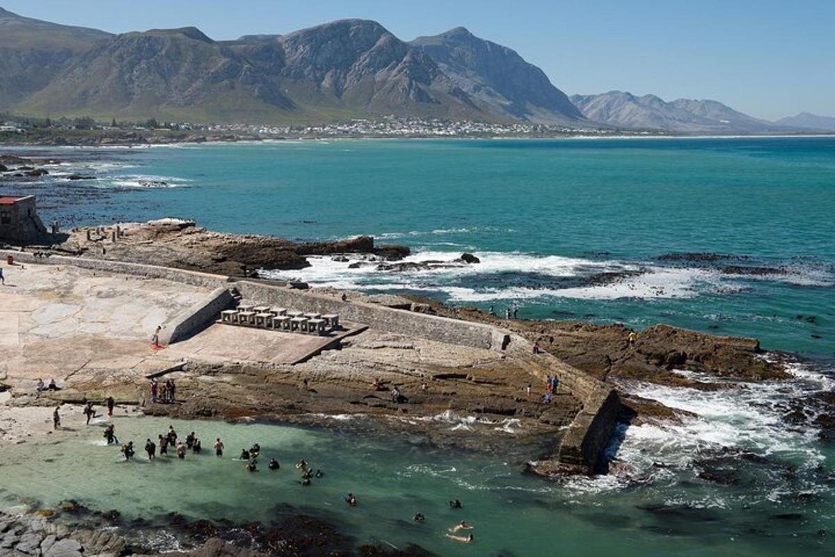 un grup de persones dempeus a l'aigua a la platja