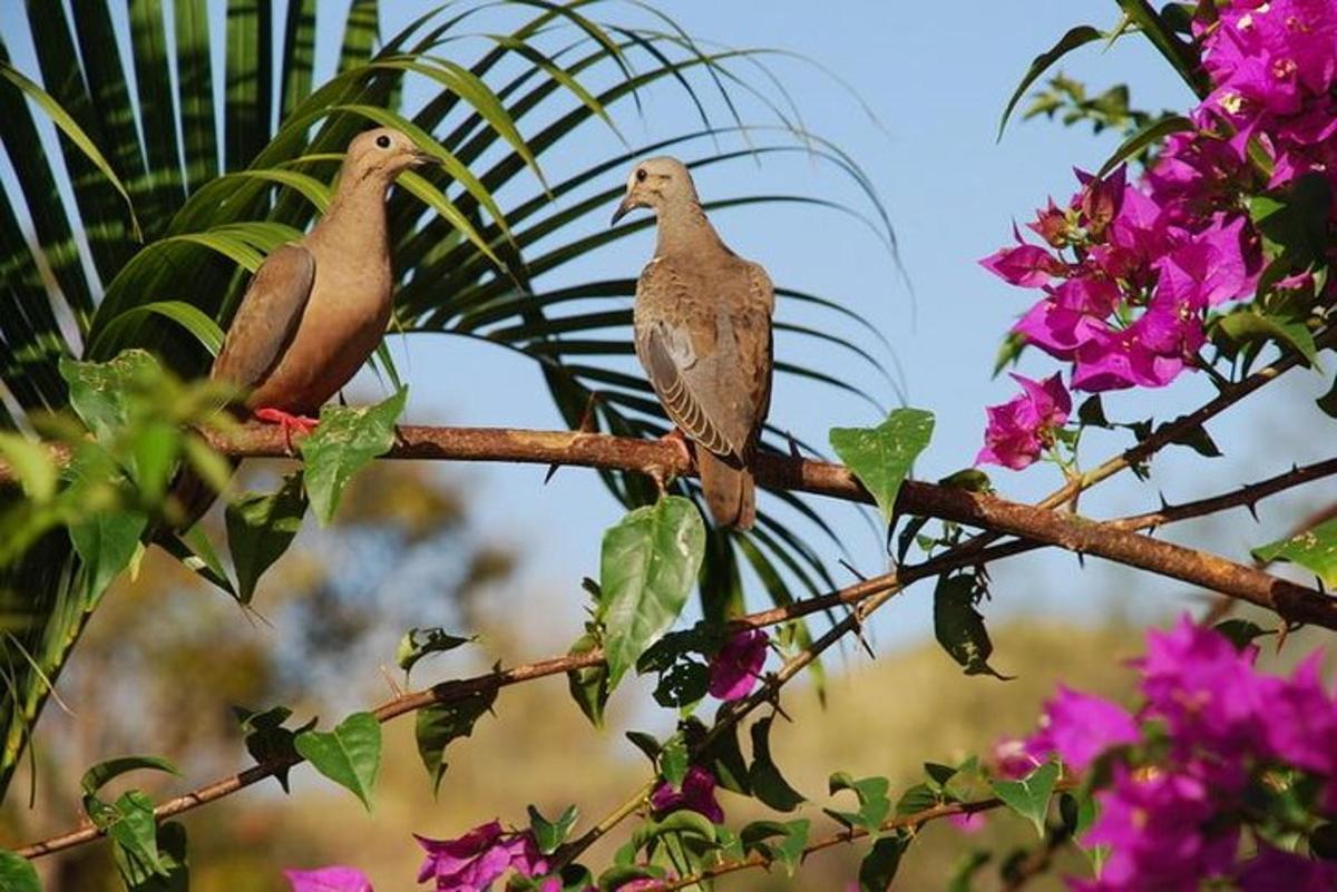 תמונה מספר 5 של האטרקציה