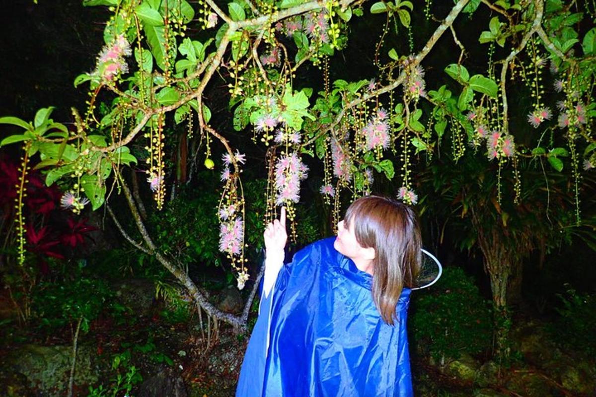 a woman in a blue raincoat reaching for flowers on a tree