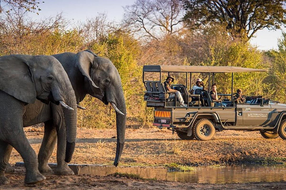 a group of people riding in a jeep with an elephant