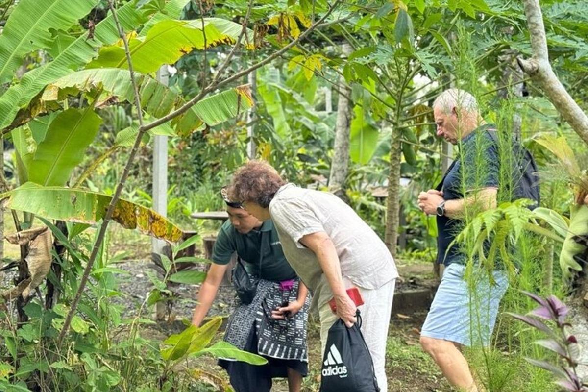 un grup de persones dempeus en un bosc