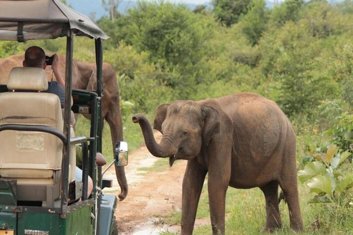 un home fent una foto d'un elefant davant d'un vehicle