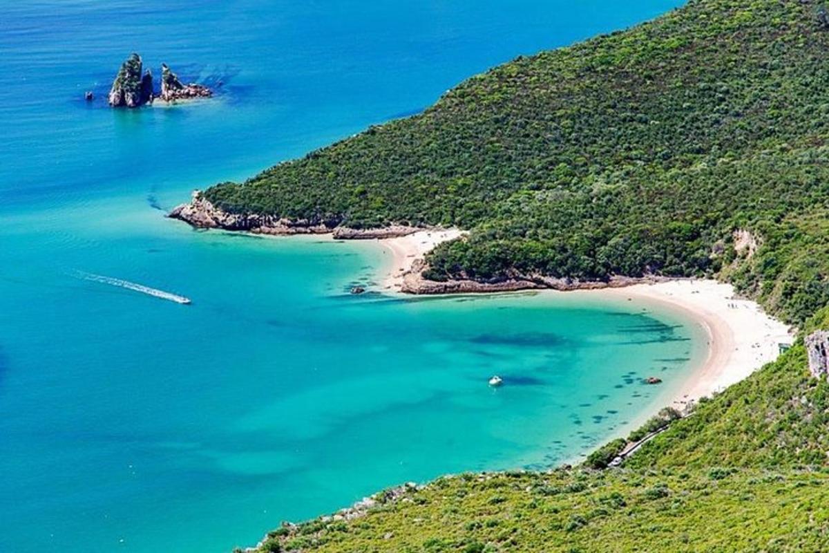 una vista aerea di una spiaggia nell'oceano