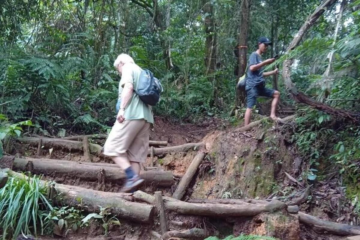two people walking across logs in a forest