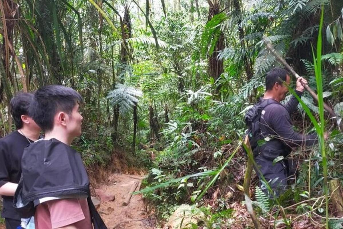 a group of people standing on a trail in the jungle