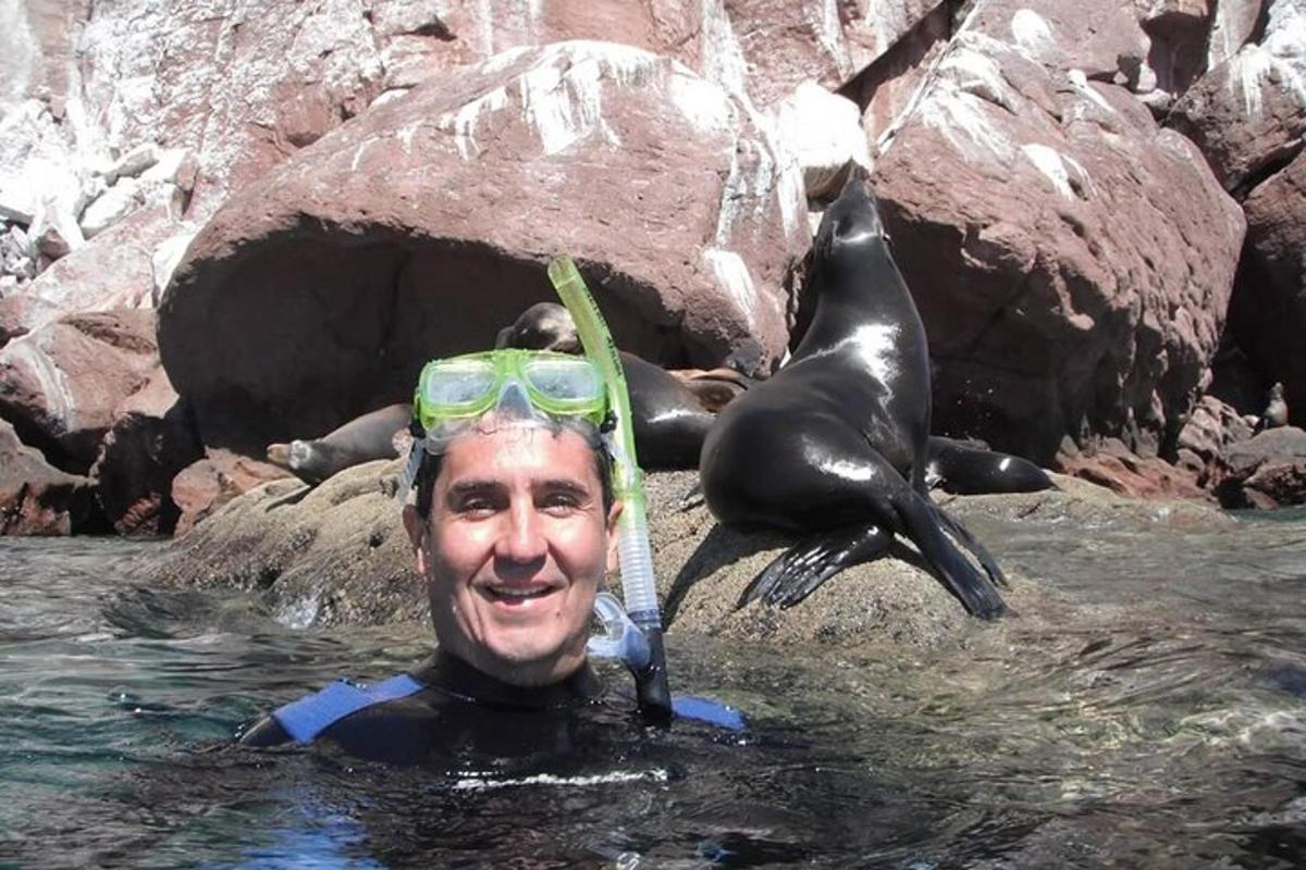 un home a l'aigua amb una foca al cap