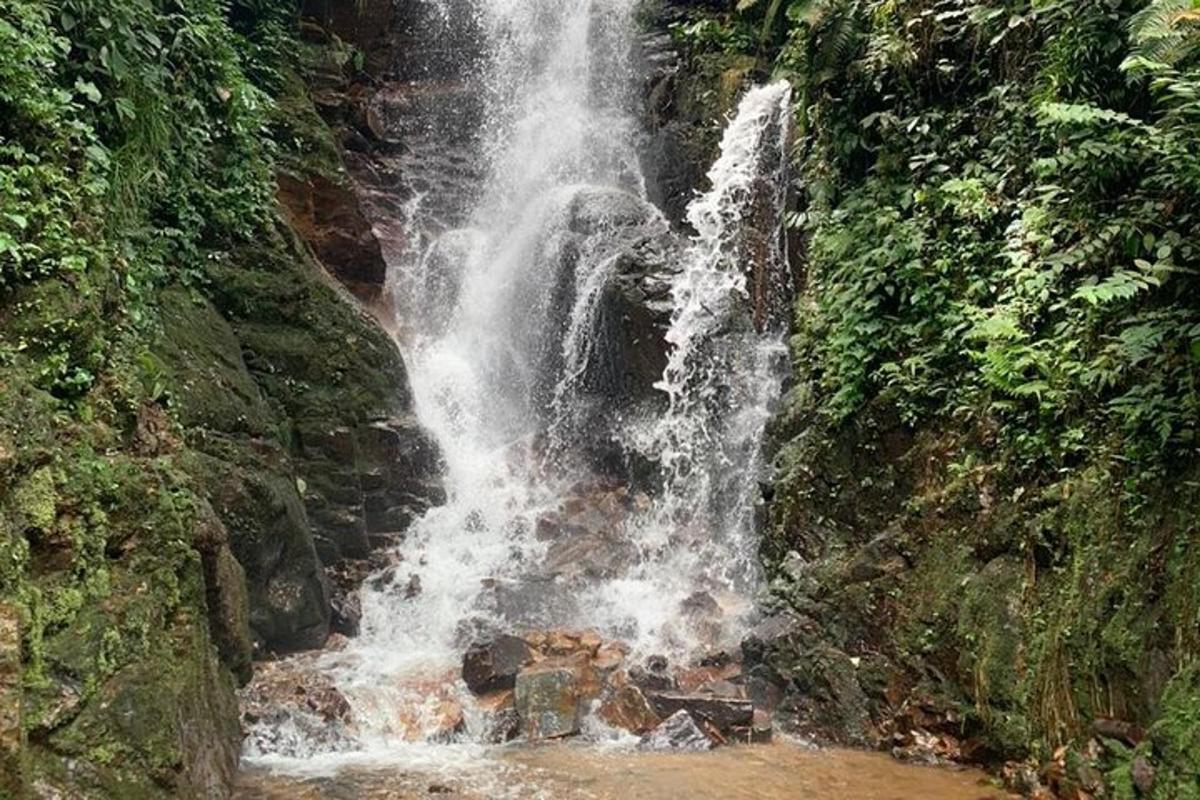 una cascada al costat d'un penya-segat rocós