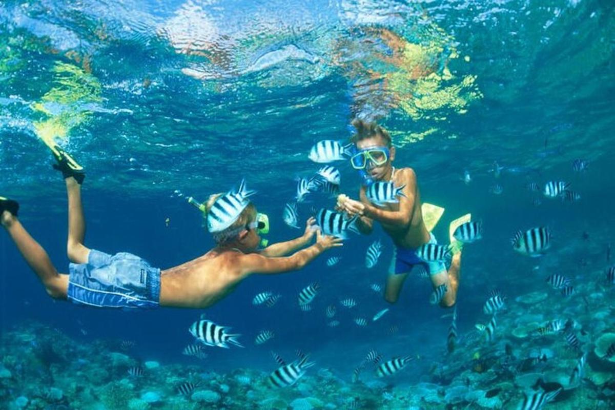 two people swimming in the water with fish