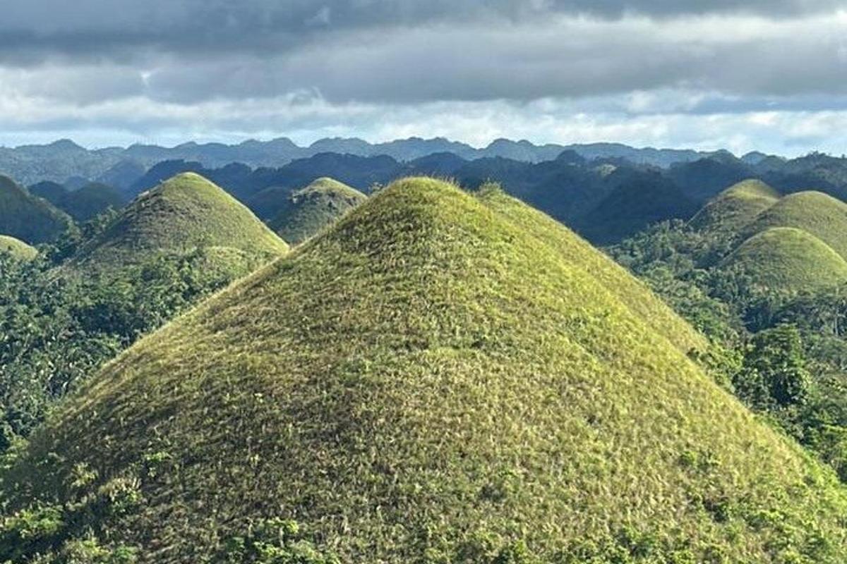 un gruppo di colline in mezzo a una foresta