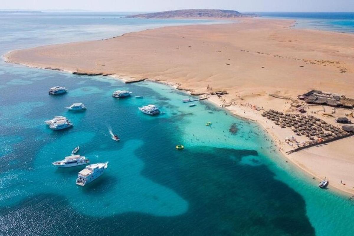 um grupo de barcos na água perto de uma praia