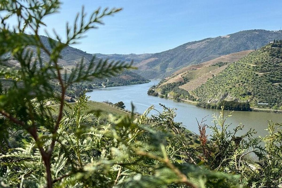 a view of a river with mountains in the background