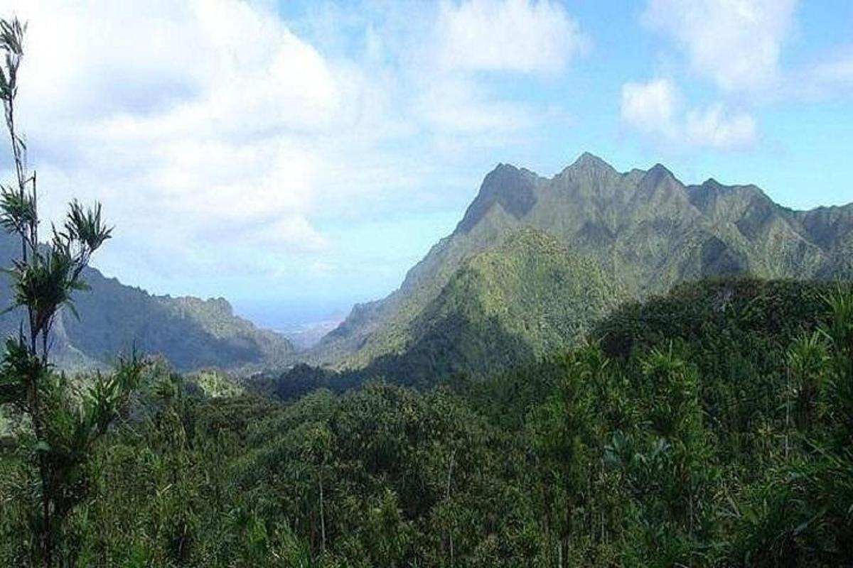 una vista di una catena montuosa con alberi e montagne