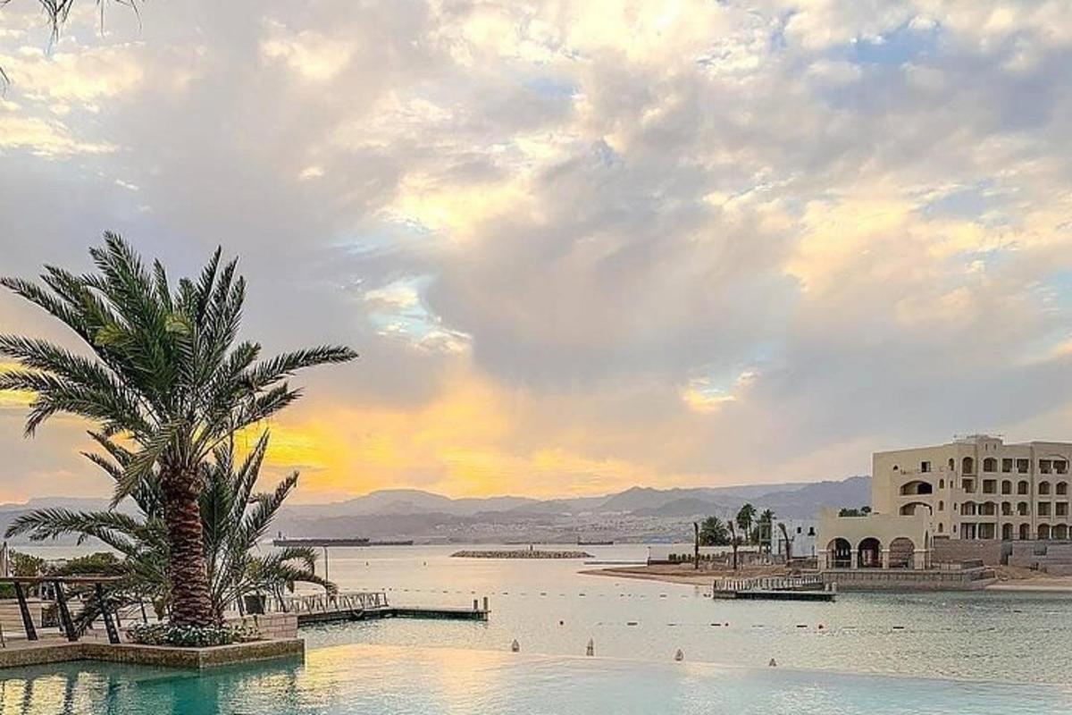 a palm tree sitting next to a body of water