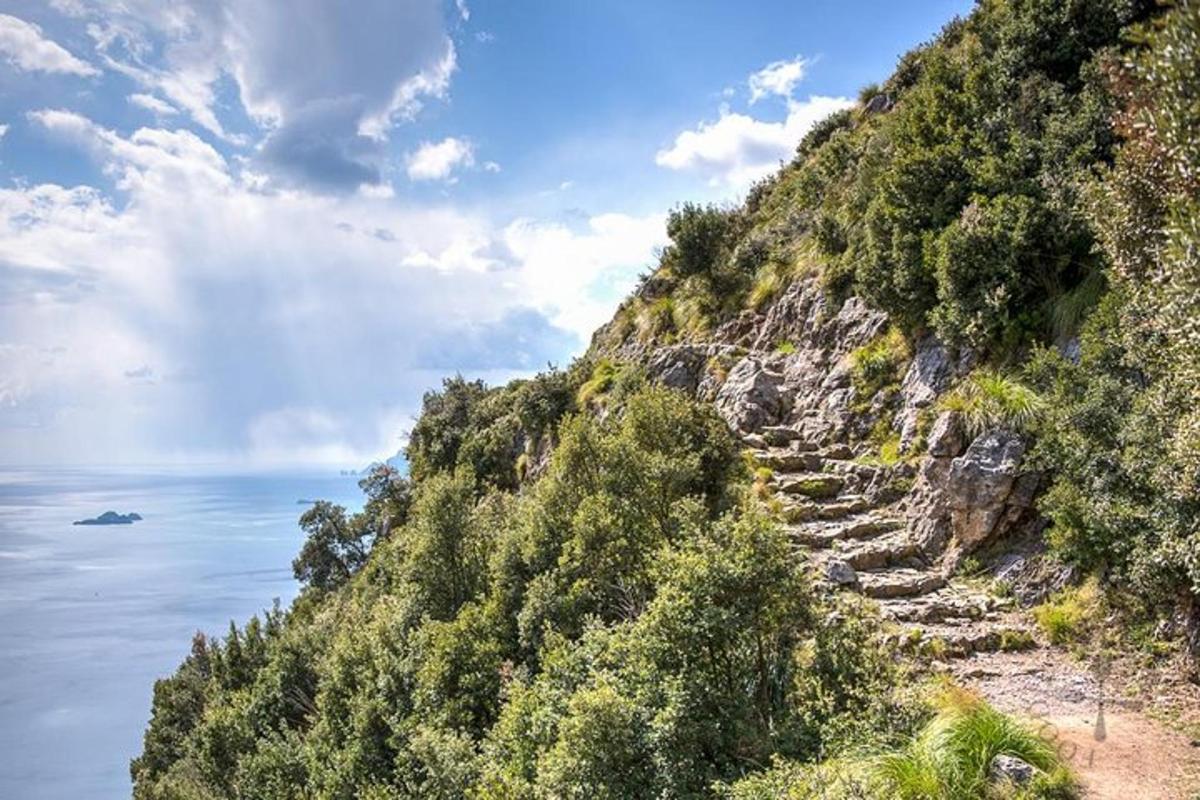 una montagna rocciosa con alberi vicino all'oceano