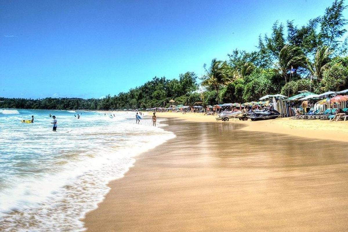 a beach with many people in the water and trees