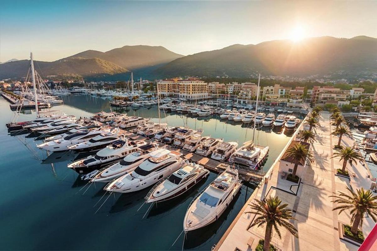 um grupo de barcos atracados em uma marina