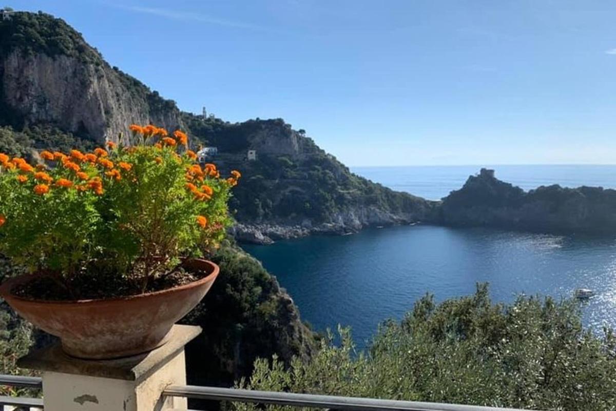 una pianta in vaso posta su una sporgenza che domina un lago